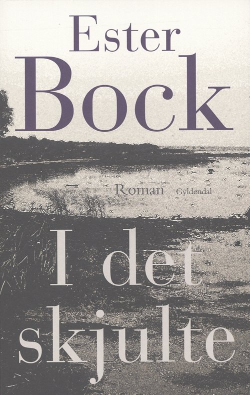 Cover for Ester Bock · I det skjulte (Sewn Spine Book) [1.º edición] (2006)