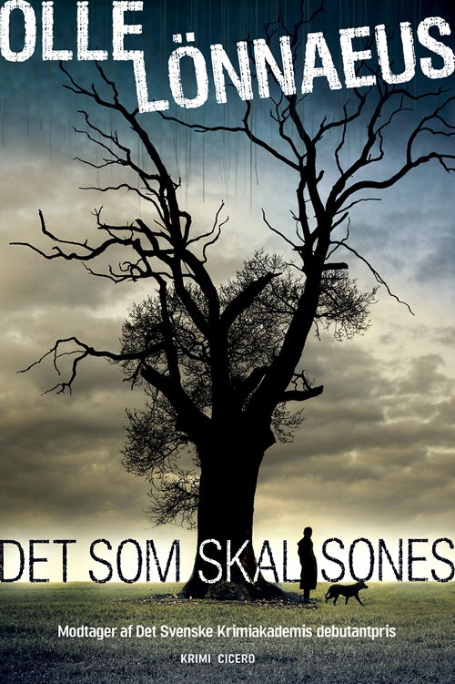 Cover for Olle Lönnaeus · Det som skal sones (Bound Book) [1. wydanie] (2011)