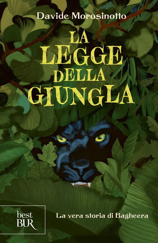 Cover for Davide Morosinotto · La Legge Della Giungla. La Vera Storia Di Bagheera (Book)