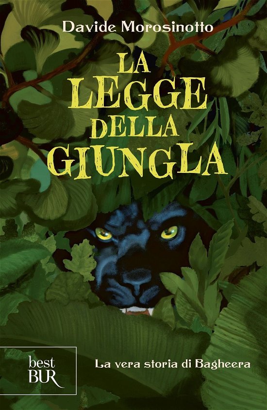 Cover for Davide Morosinotto · La Legge Della Giungla. La Vera Storia Di Bagheera (Bog)