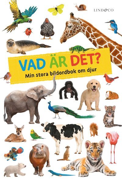 Cover for Fischer Verlag · Vad är det? - Min stora bildordbok om djur (Kartonbuch) (2022)