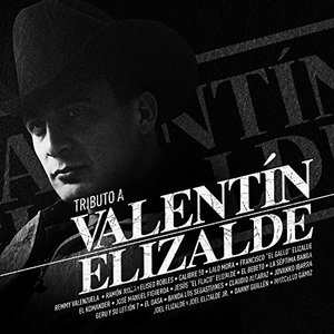 Cover for Tributo A Valentin Elizalde (CD) (2017)