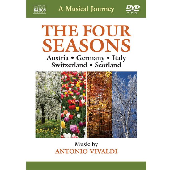 Musical Journey: Austria Germany Switzerland - Vivaldi / Nishizaki / Gunzenhauser / Kopelman - Movies - NAXOS - 0747313532957 - June 25, 2013