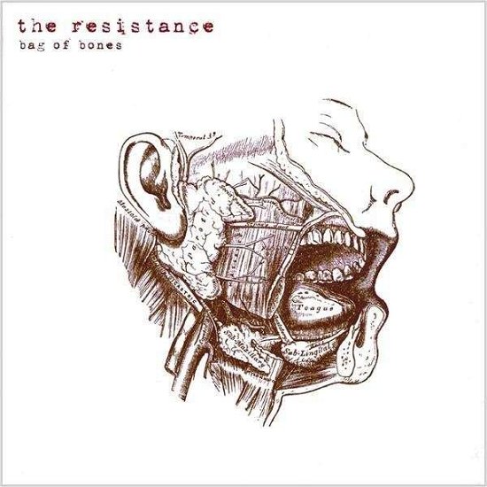 Cover for Resistance · Bag of Bones (CD) (2009)