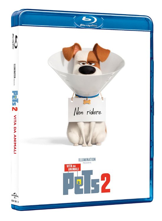 Cover for Pets 2 - Vita Da Animali (Blu-ray) (2019)
