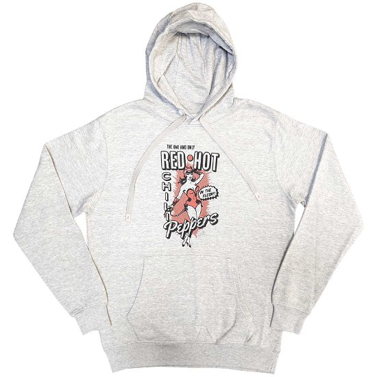 Cover for Red Hot Chili Peppers · Red Hot Chili Peppers Unisex Pullover Hoodie: In The Flesh (Hoodie) [size S]