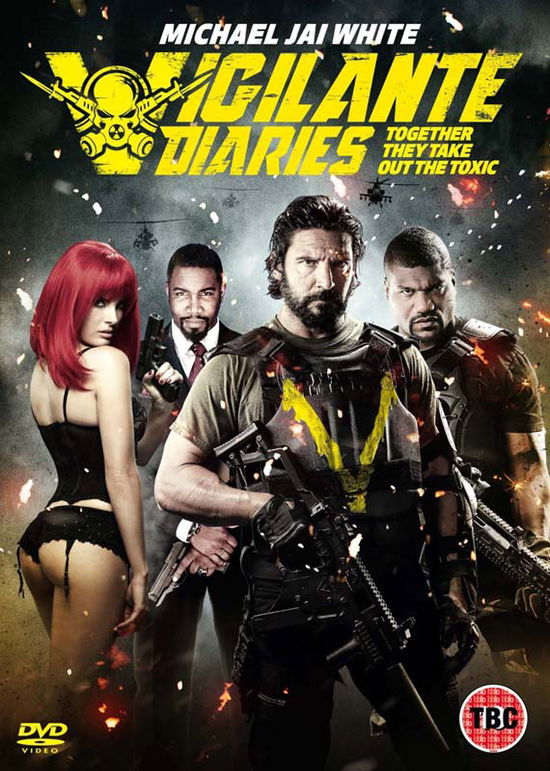 Cover for The Vigilante Diaries (DVD) (2016)