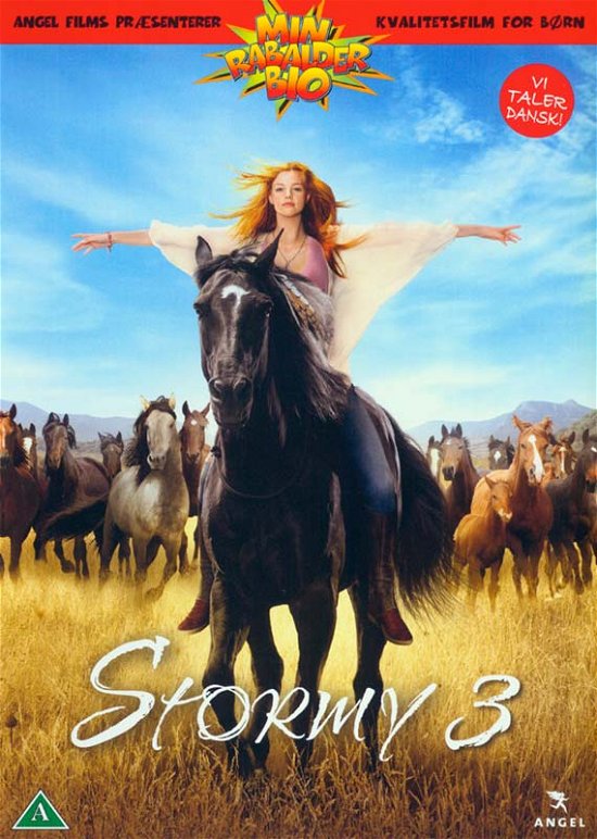 Cover for Hanna Binke · Stormy 3 (DVD) (2018)
