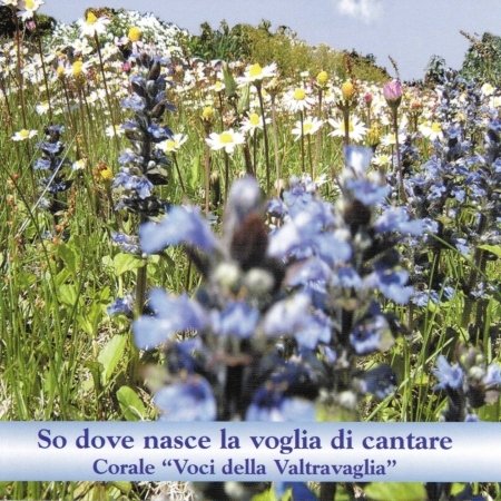 Cover for Nova Schola Cantorum Di Montegrino · So Dove Nasce La Voglia Di Cantare - Voci Della Valtravaglia (CD) (2005)