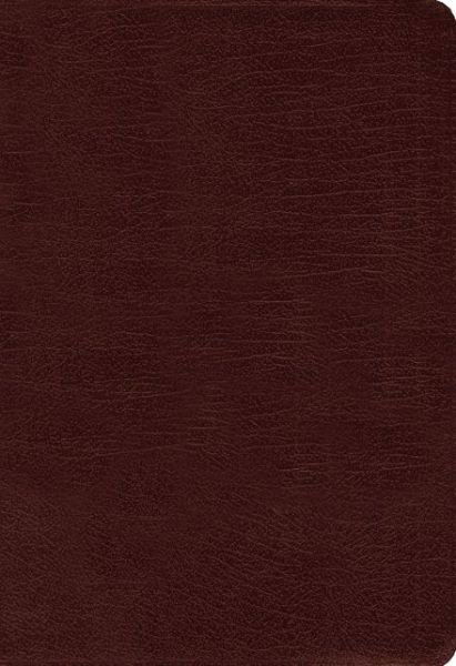 Amplified Holy Bible, Bonded Leather, Burgundy, Thumb Indexed: Captures the Full Meaning Behind the Original Greek and Hebrew - Zondervan Publishing - Livres - Zondervan - 9780310443957 - 5 novembre 2015