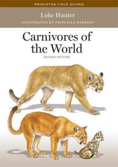 Cover for Luke Hunter · Carnivores of the World: Second Edition - Princeton Field Guides (Paperback Book) (2019)
