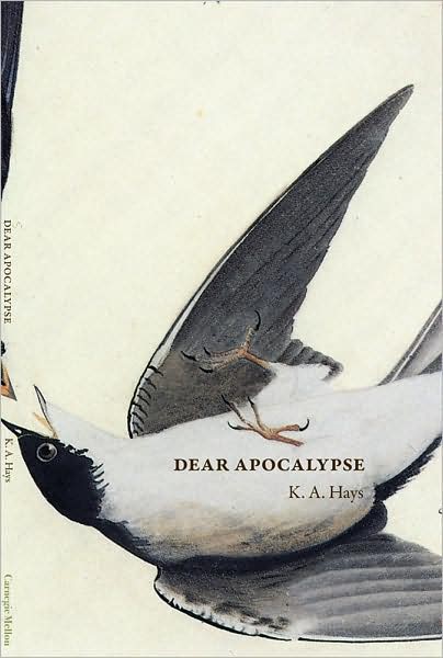 Cover for K. A. Hays · Dear Apocalypse (Paperback Book) (2009)