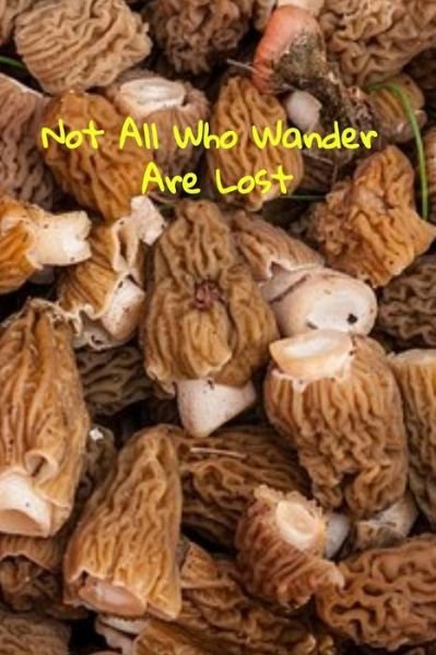Cover for T &amp; K Publishing · Not All Who Wander Are Lost A fun place to write in. 6 x 9 110 pages (Paperback Book) (2019)