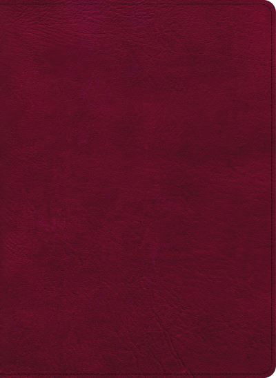 Cover for Csb Bibles By Holman · CSB Holy Land Illustrated Bible, Burgundy, Indexed (Leather Book) (2022)