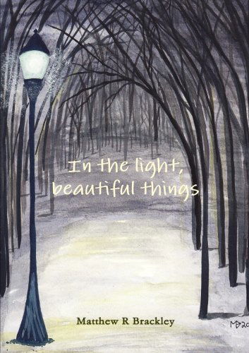 Cover for Matthew R Brackley · In the Light,beautiful Things (Paperback Bog) (2014)