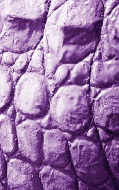 Eva-Lotta Jansson · Alive! crocodile skin - Violet duotone - Photo Art Notebooks (5 x 8 series) (Paperback Book) (2015)