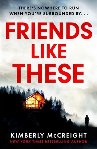 Cover for Kimberly McCreight · Friends Like These: How well do you really know your friends? (Paperback Bog) (2021)