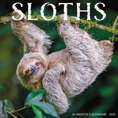 Willow Creek Press · Sloths 2025 12 X 12 Wall Calendar (Kalender) (2024)