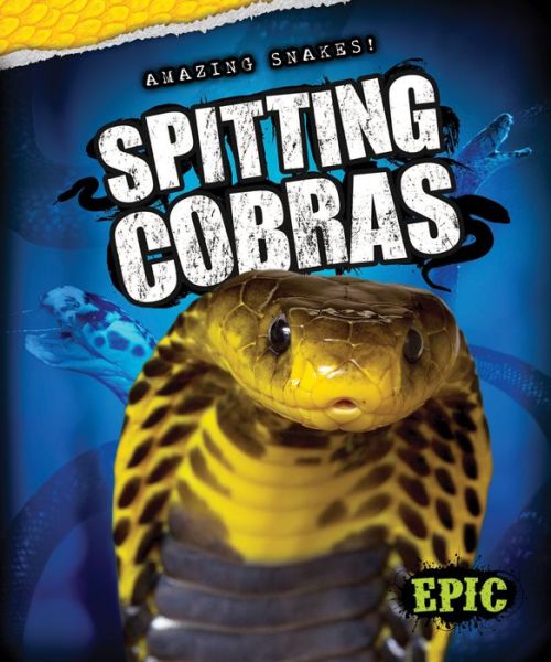 Cover for Emily Rose Oachs · Spitting Cobras (Amazing Snakes!) (Hardcover Book) (2014)