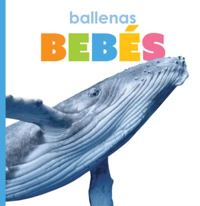 Cover for Kate Riggs · Ballenas Bebés (Buch) (2021)