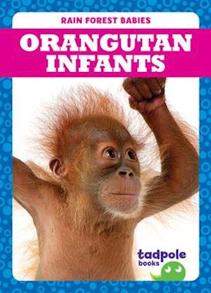 Cover for Genevieve Nilsen · Orangutan Infants (Hardcover Book) (2020)