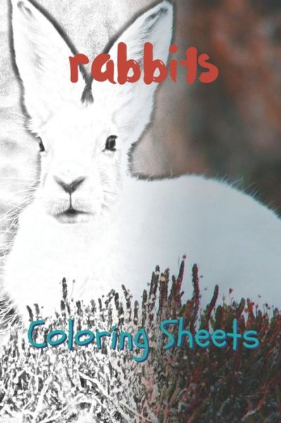 Rabbit Coloring Sheets - Julian Smith - Książki - Independently Published - 9781797658957 - 20 lutego 2019