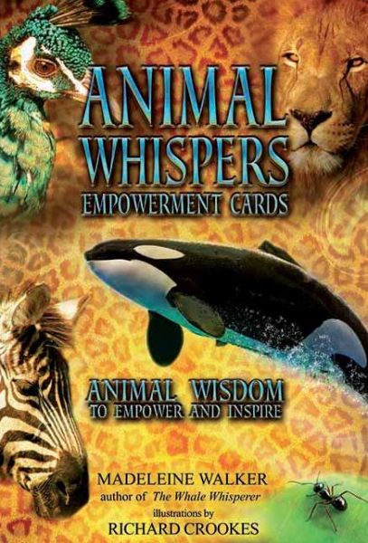 Cover for Madeleine Walker · Animal Whispers Empowerment Cards: Animal Wisdom to Empower and Inspire (Flashcards) (2012)