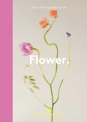 Cover for Hoxton Mini Press · Flower.: New Photography of the (Hardcover Book) (2025)