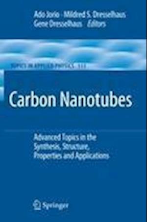 Carbon Nanotubes: Advanced Topics in the Synthesis, Structure, Properties and Applications - Topics in Applied Physics - - Bøger - Springer-Verlag Berlin and Heidelberg Gm - 9783642091957 - 22. november 2010