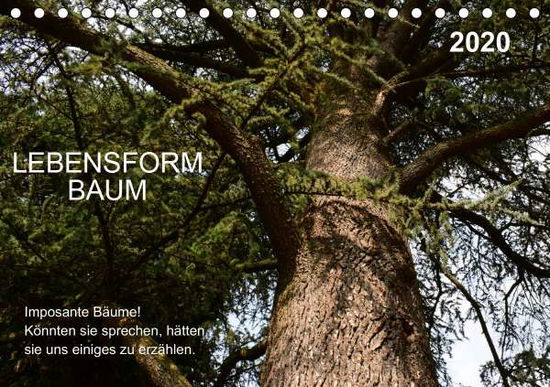 Cover for Gaudig · Lebensform Baum (Tischkalender 2 (Book)