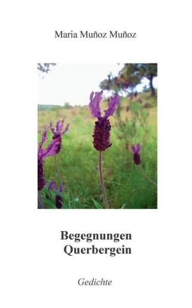 Cover for Maria Munoz Munoz · Begegnungen Querbergein (Taschenbuch) [German edition] (2014)