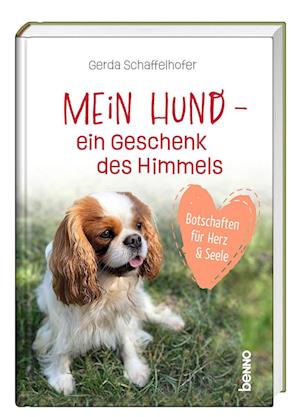 Cover for Gerda Schaffelhofer · Mein Hund – ein Geschenk des Himmels (Book) (2024)