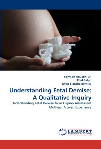 Cover for Dyan Blanche Bernice · Understanding Fetal Demise: a Qualitative Inquiry: Understanding Fetal Demise from Filipino Adolescent Mothers: a Lived Experience (Pocketbok) (2011)