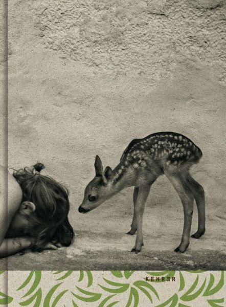 Cover for Alain Laboile · Summer Of The Fawn (Hardcover bog) (2018)