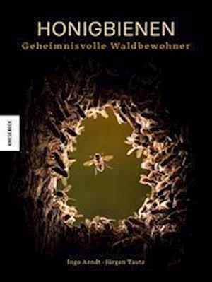 Cover for Ingo Arndt · Honigbienen - Geheimnisvolle Waldbewohner (Book) (2025)