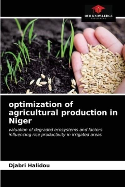Cover for Djabri Halidou · Optimization of Agricultural Production in Niger (Pocketbok) (2021)