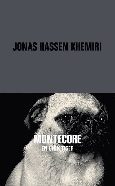 Montecore - Jonas Hassen Khemiri - Bøger - Albert Bonniers Förlag - 9789100171957 - 15. december 2016