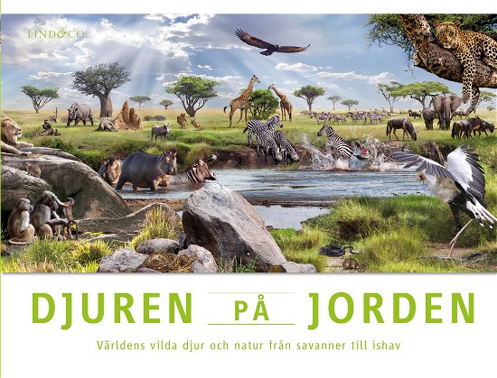 Cover for John Woodward · Djuren på jorden - Världens vilda djur och natur från savanner till ishav (Gebundesens Buch) (2023)