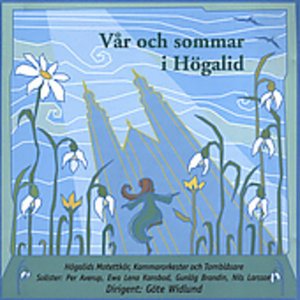 Cover for Var Och Sommar I Hogalid / Various (CD) (2005)