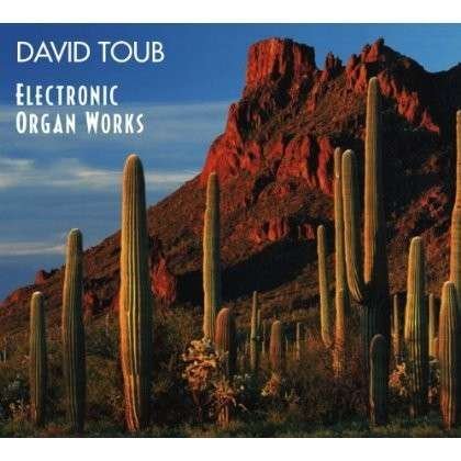 Electronic Organ Works - David Toub - Musik - CD BABY - 0888174156958 - 13. Oktober 2013