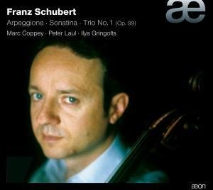 Cover for Marc Coppey &amp; Gringolts &amp; Lau · Schubert: Arpeggione (CD) [Digipak] (2011)