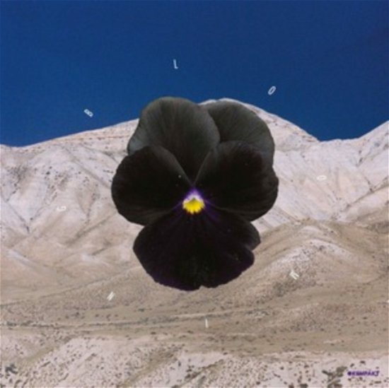 Cover for Archil &amp; Leon · Blooming (LP) (2022)