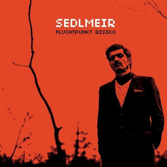 Cover for Sedlmeir · Fluchtpunkt Risiko (CD) (2019)