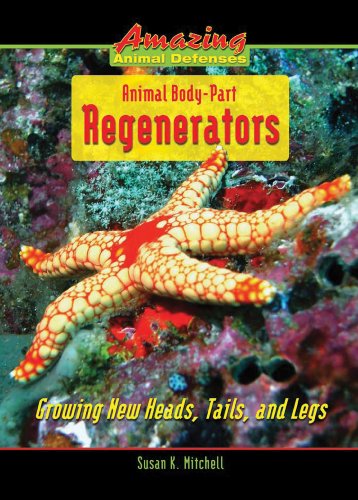 Cover for Susan K. Mitchell · Animal Body Part Regenerators: Growing New Heads, Tails, and Legs (Amazing Animal Defenses) (Hardcover Book) (2008)