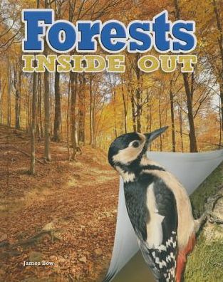 Cover for James Bow · Forests Inside out (Hardcover Book) (2015)