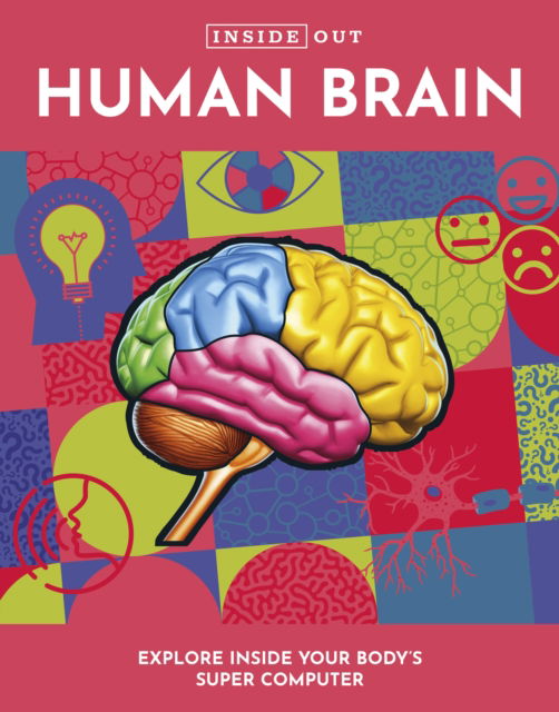 Cover for Editors of Chartwell Books · Inside Out Human Brain: Explore Inside Your Body's Super Computer - Inside Out, Chartwell (Hardcover Book) (2023)