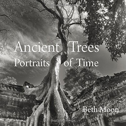 Cover for Beth Moon · Ancient Trees: Portraits of Time (Hardcover Book) (2014)