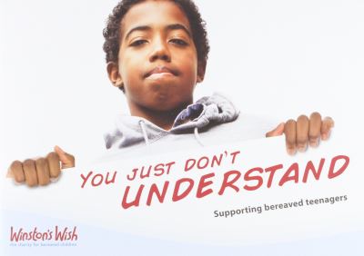 Cover for You Just Don't Understand: Supporting Bereaved Teenagers (Paperback Book) (2014)