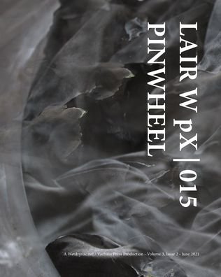 Cover for Wetdryvac · LAIR W pX 015 Pinwheel (Paperback Bog) (2024)