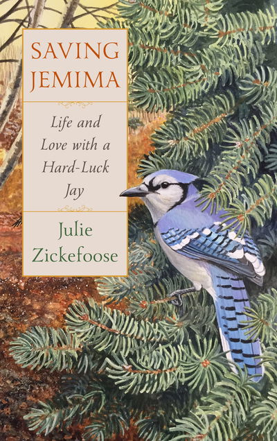 Cover for Julie Zickefoose · Saving Jemima: Life and Love with a Hard-Luck Jay (Hardcover Book) (2019)